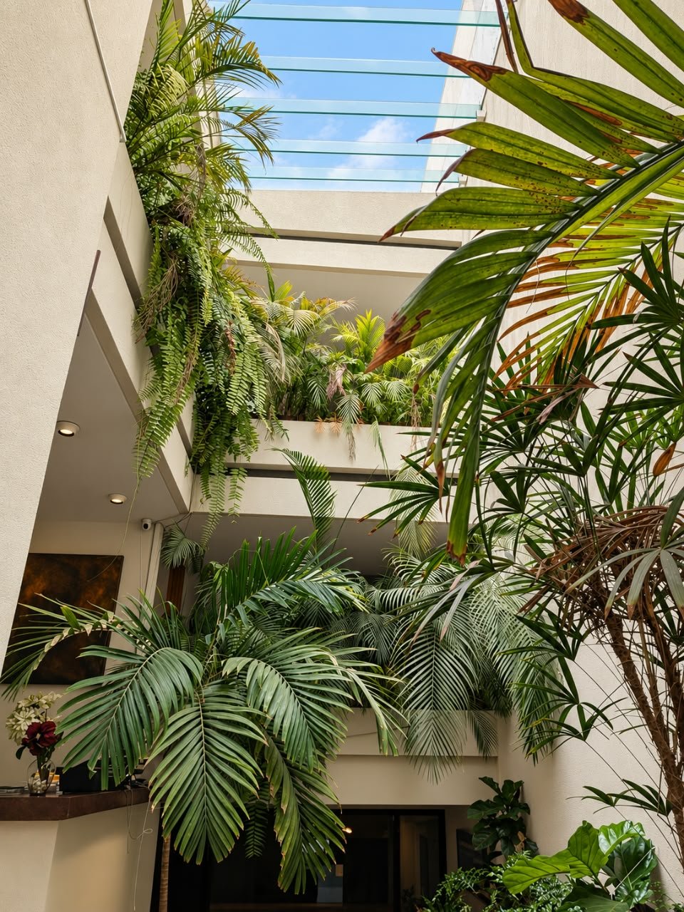 Interior courtyard at the Terra Firma offices
